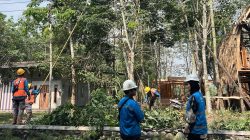 PLN Tuntaskan Pemeliharaan Penyulang Kerinci untuk Perkuat Keandalan Pasokan Listrik