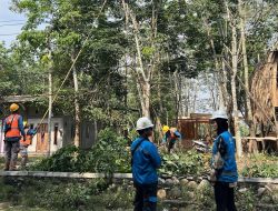 PLN Tuntaskan Pemeliharaan Penyulang Kerinci untuk Perkuat Keandalan Pasokan Listrik