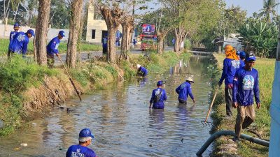 Langit Biru Indonesia Asri Minggu Ke-4, DPC Partai Demokrat Karawang Bersihkan Saluran Irigasi di Kecamatan Pedes