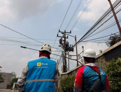 Kamis Andal, PLN Prabumulih Rampungkan Pemeliharaan Konstruksi di 28 Titik dan ROW 3 Kilometer