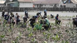 PT IMIP Padukan Pelestarian Mangrove dan Kemandirian Ekonomi Warga